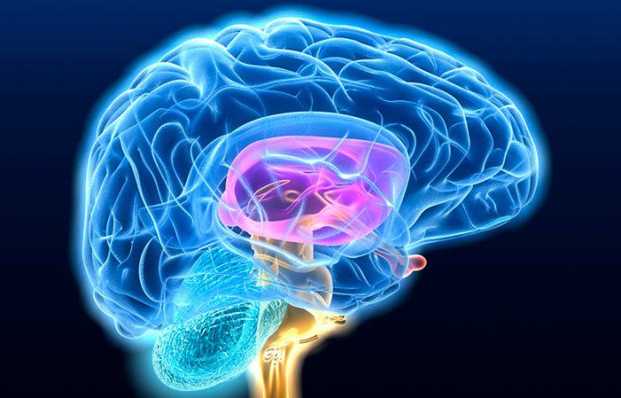 Признаки опухоли головного мозга симптомы у взрослых